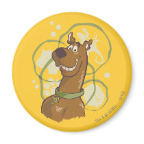 Scooby Doo Smile1 Magnet