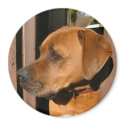 Scooby! magnets by MaddyPaddy Scooby! magnets