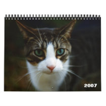 SCOOTER 2007 calendars