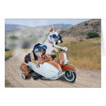 Scooter Ride cards
