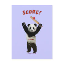 Score Cricket Panda Postcards