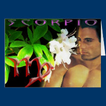Scorpio cards