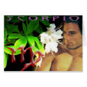 Scorpio cards