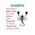 Scorpio Horoscope Zodiac Sign shirt