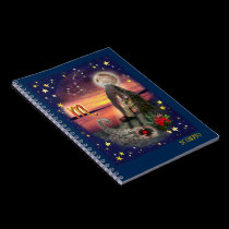 Scorpio notebooks