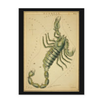 Scorpio postcards