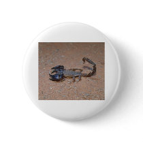 Scorpion buttons by junjari Scorpion buttons