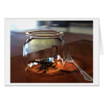Scorpion cards