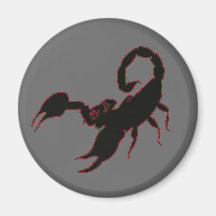 Scorpion Fridge Magnet