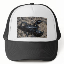 Scorpion Trucker Hats