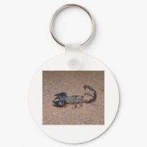 Scorpion keychains by junjari Scorpion keychains