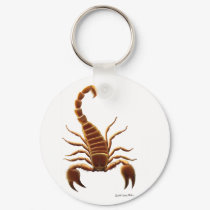 Scorpion keychains by twopurringcats Scorpion keychains