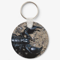 Scorpion keychains by animalworld Scorpion keychains