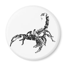 Scorpion - Magnet