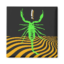 scorpion magnets