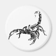 Scorpion - Magnet