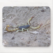Scorpion mousepads