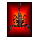 SCORPION OF WAR posters