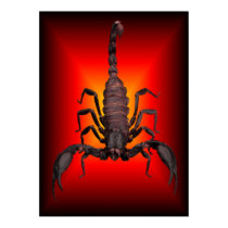 SCORPION OF WAR posters by TNDESIGNS SCORPION OF WAR posters