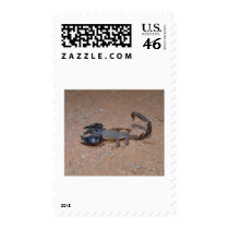 Scorpion Postage