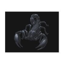 Scorpion postcards by Volcanokitten Scorpion postcards