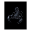 Scorpion posters