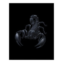 Scorpion posters by Volcanokitten Scorpion posters