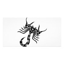 Scorpion Scorpio Picture Card