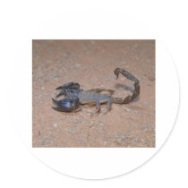 Scorpion stickers by junjari Scorpion stickers