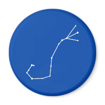 Scorpius Zodiac Magnet magnets