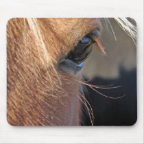 Scotch Extreme Closeup mousepads
