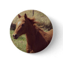 Scotch in Motion Buttons