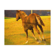 Scotch Run~ Oil Painting postcards