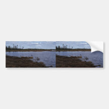Scoters Plot 17 Bumper Sticker