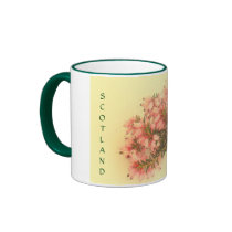 SCOTLAND  2012  MUG