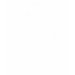 Ladies Destroyed T-Shirt