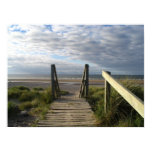 scotland Findhorn Boardwalk posters
