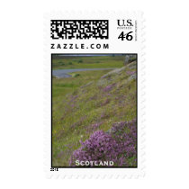 Scotland Stamp