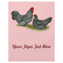 Scots Dumpy Chickens Custom Flyer