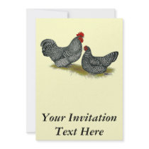 Scots Dumpy Chickens Personalized Invitations