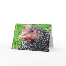 Scots Grey Hen - Poultry Greeting Card by SnapiKat Scots Grey Hen - Poultry Greeting Card