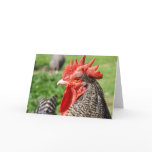 Scots Grey Rooster | Blank Greeting Card