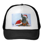 Scottie Claus! Hats