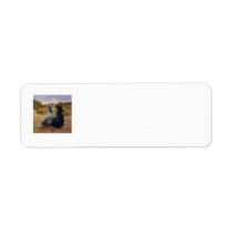 SCOTTIE Return Address Labels