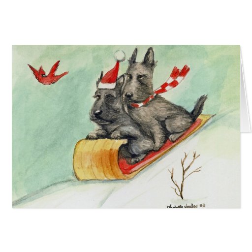 "Scottie Sleigh Ride" Dog Art Christmas Cards Zazzle