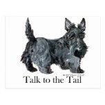 Scottie Talk to the Tail Post Card