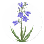 scottish blue bells - customizable sticker