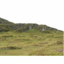Scottish Country photo sculptures