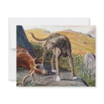 Scottish deerhound announcements