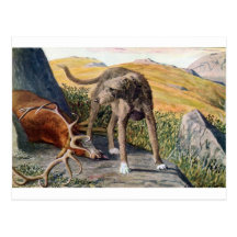 Scottish deerhound postcard